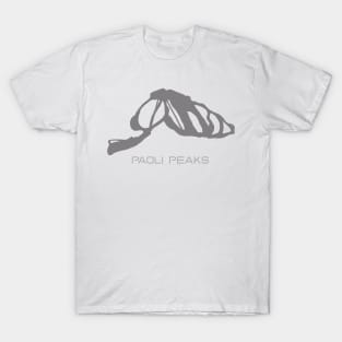 Paoli Peaks Resort 3D T-Shirt